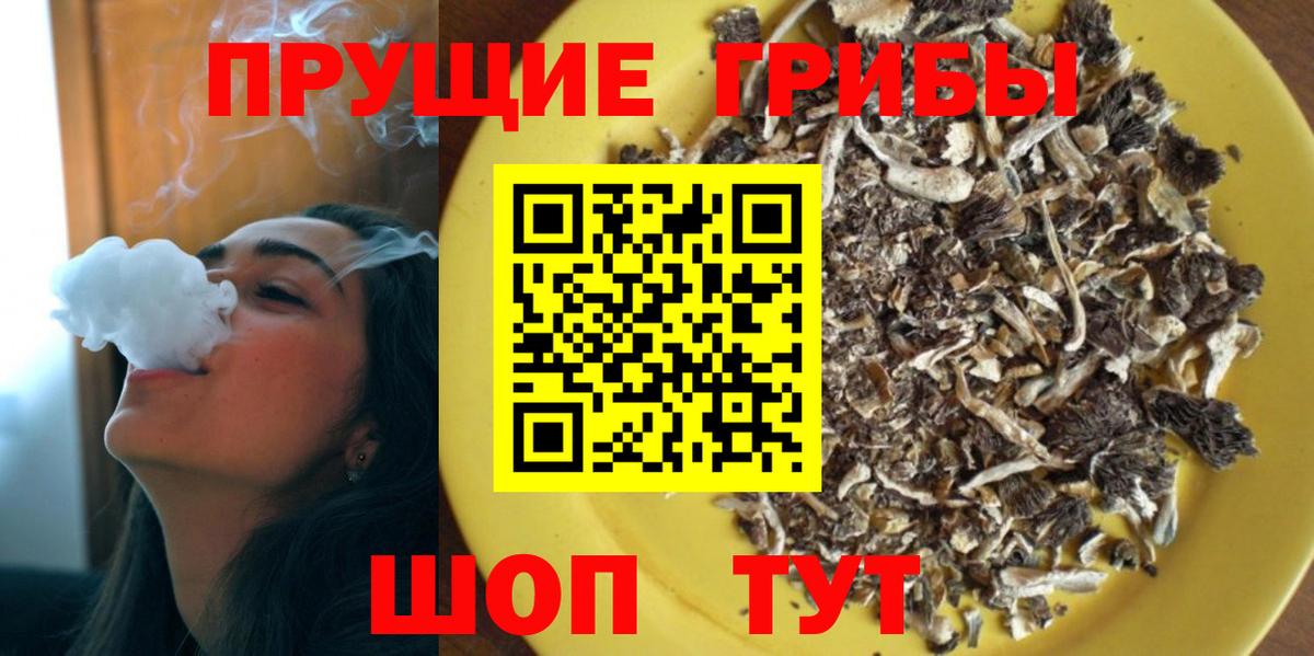 Галлюциногенные грибы GOLDEN TEACHER Камышин