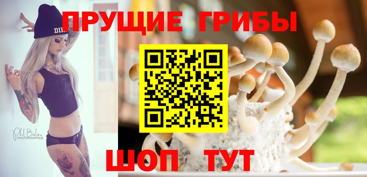 Галлюциногенные грибы Psilocybine cubensis  Псилоцибиновые грибы Magic Shrooms  где купить наркотик  Вход с VPN  Камышин 