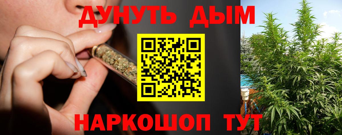 Шишки марихуана OG Kush  Шишки марихуана THC 21%  Камышин  Вход с VPN  Шишки марихуана гибрид  Шишки марихуана OG Kush 